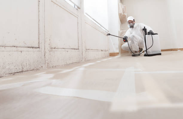 24/7 Emergency Basement Mold Remediation experts in Alberta, VA